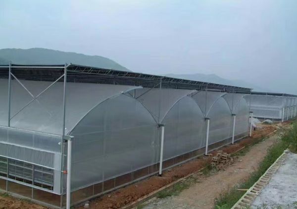涨知识！专业温室大棚建设要点
