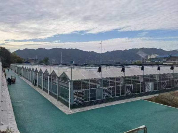 玻璃温室的通风方式有哪几种